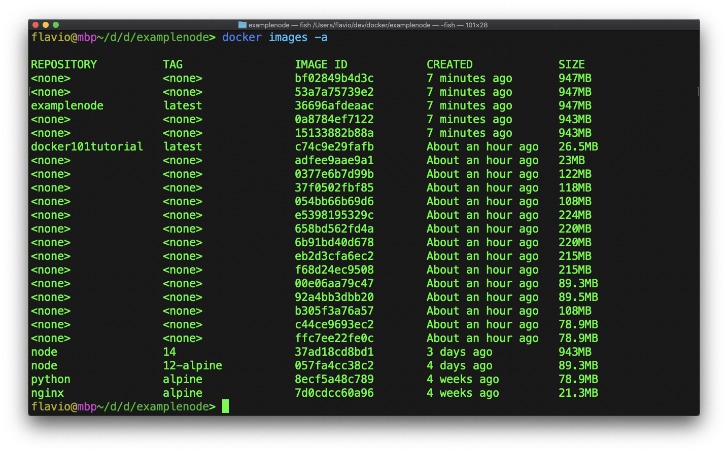 Terminal output showing docker images -a command listing all Docker images with repository, tag, image ID, creation time and size