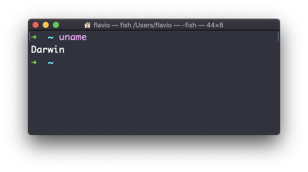 Terminal showing uname command output displaying Darwin as the operating system name