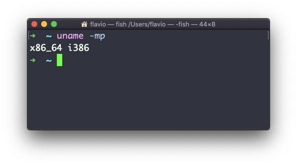 Terminal showing uname -mp command output displaying x86_64 i386 for hardware and processor architecture
