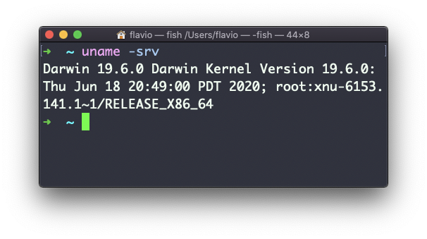 Terminal showing uname -srv command output with Darwin OS name, kernel version 19.6.0, and build details