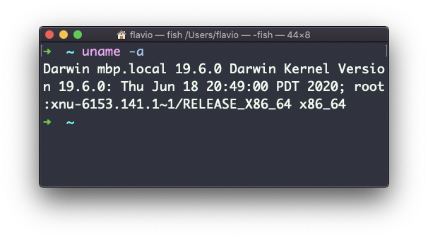 Terminal showing uname -a command output with all system information including Darwin, hostname, version, and architecture