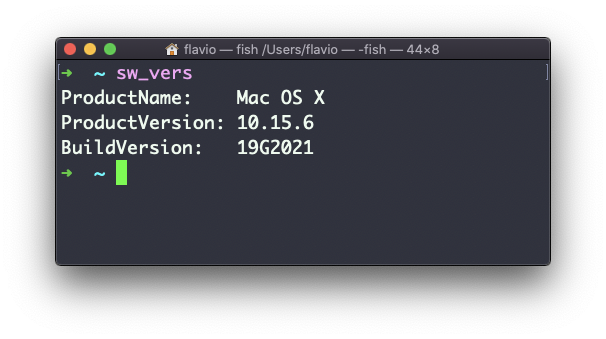 Terminal showing sw_vers command output displaying Mac OS X version 10.15.6 with build version 19G2021