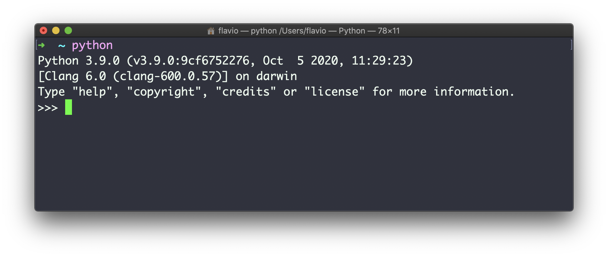 Python REPL terminal showing Python 3.9.0 startup message with prompt ready for input
