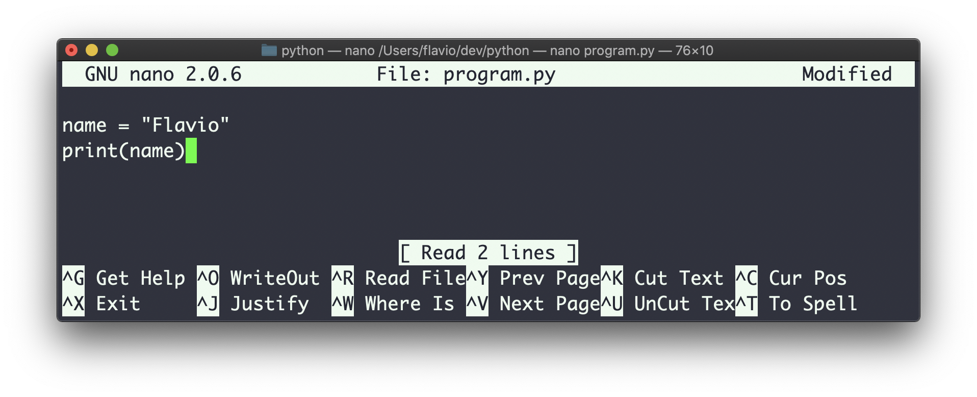 Nano text editor showing program.py file with Python code for name variable and print statement