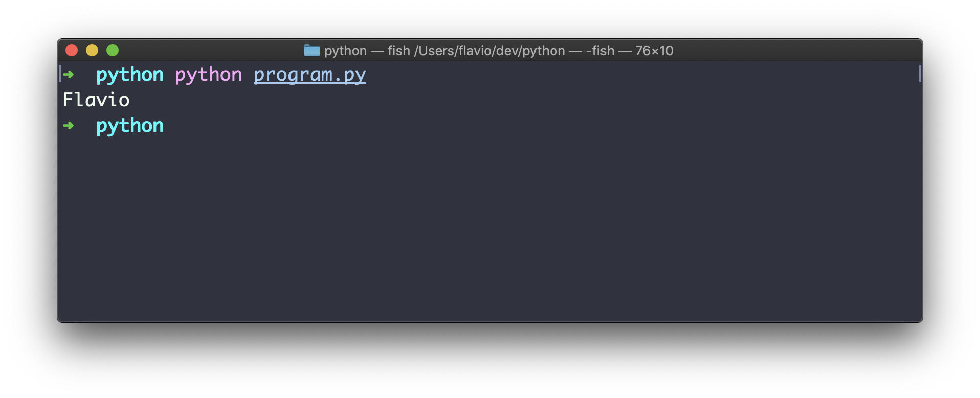 Terminal showing python program.py command execution with Flavio output