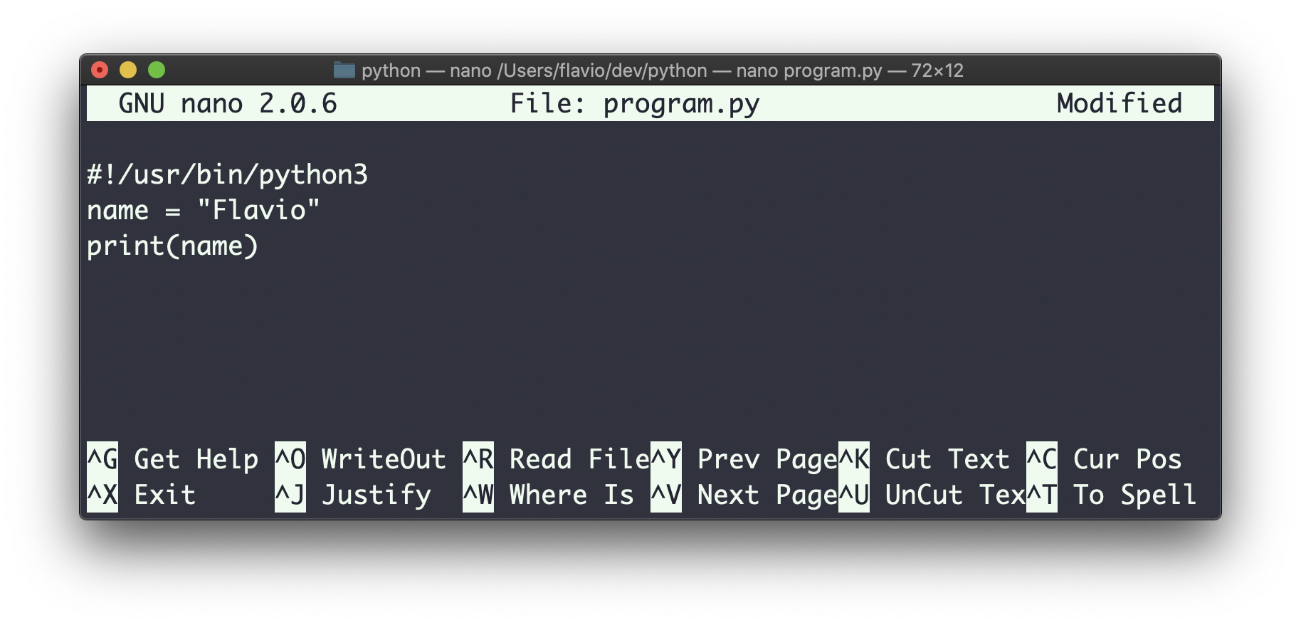 Nano editor showing Python file with shebang line pointing to usr bin python3 interpreter