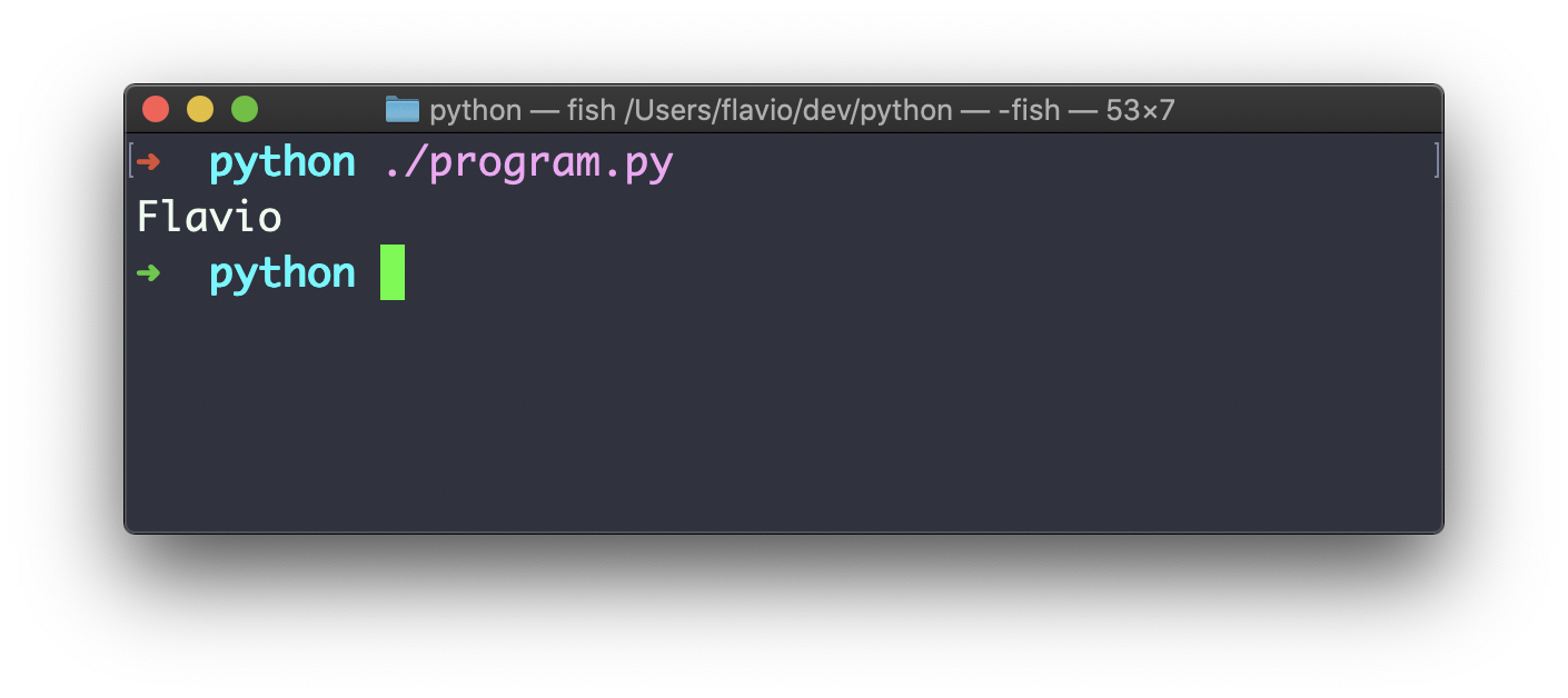 Terminal showing execution of Python script using dot slash program.py with Flavio output